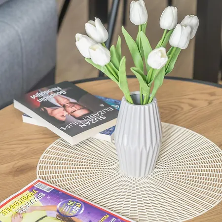 Apartment Tri Kralja 2 *